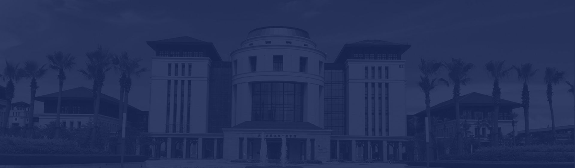 澳新国际app